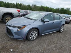 Toyota salvage cars for sale: 2020 Toyota Corolla LE