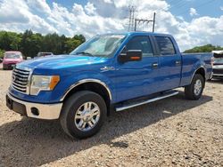 Salvage cars for sale from Copart China Grove, NC: 2010 Ford F150 Supercrew