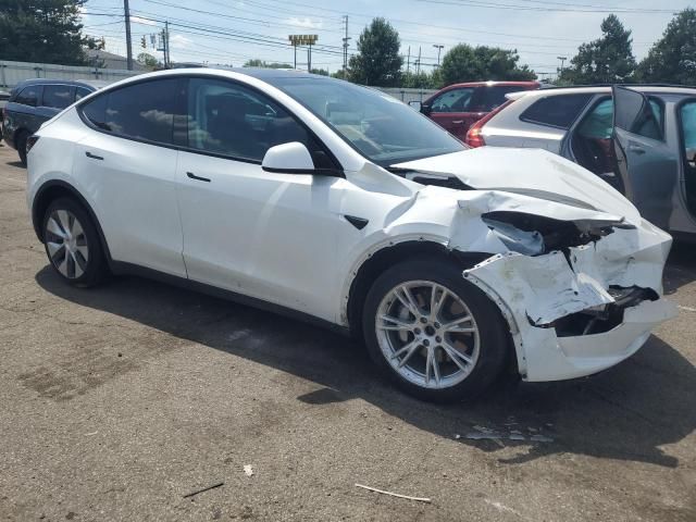 2020 Tesla Model Y