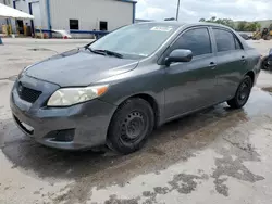 Salvage cars for sale at Orlando, FL auction: 2010 Toyota Corolla Base
