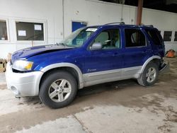 Salvage cars for sale at Blaine, MN auction: 2006 Ford Escape HEV