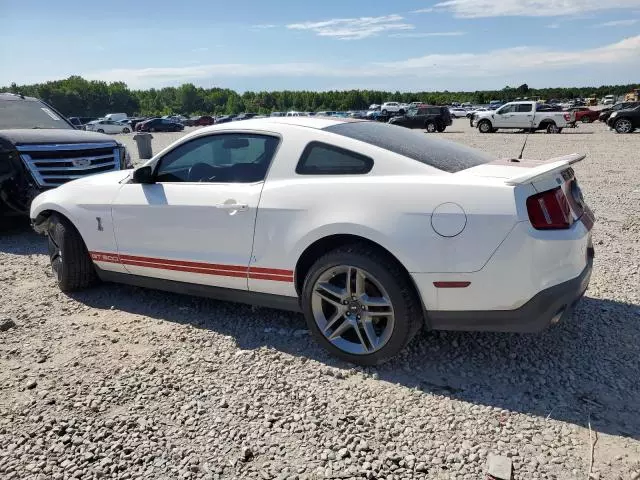 2010 Ford Mustang Shelby GT500