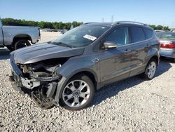 Salvage cars for sale at Memphis, TN auction: 2014 Ford Escape Titanium
