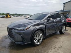 Salvage cars for sale at Memphis, TN auction: 2023 Lexus NX 350