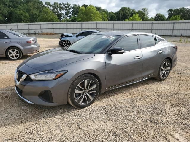 2020 Nissan Maxima SV