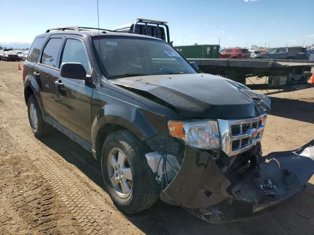 2012 Ford Escape XLT