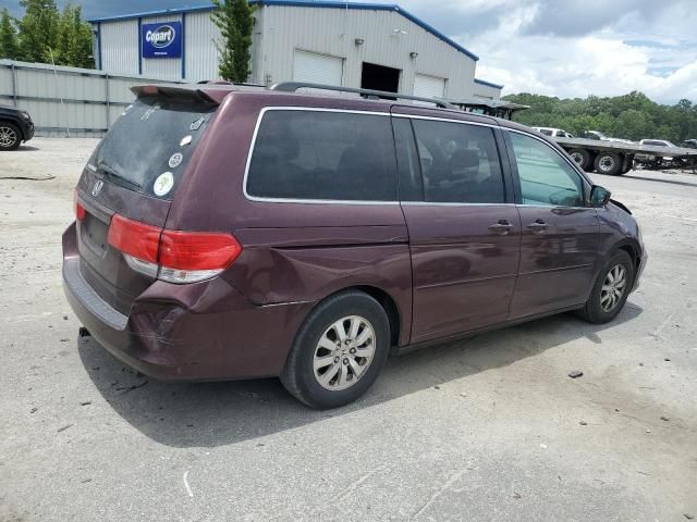 2010 Honda Odyssey EXL