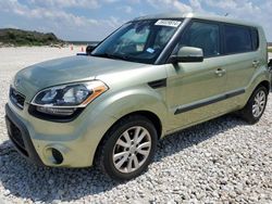 Salvage cars for sale at New Braunfels, TX auction: 2013 KIA Soul +