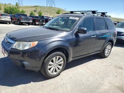 Salvage cars for sale at Littleton, CO auction: 2013 Subaru Forester Limited