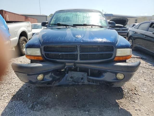 2001 Dodge Dakota