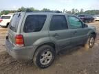 2007 Ford Escape XLT