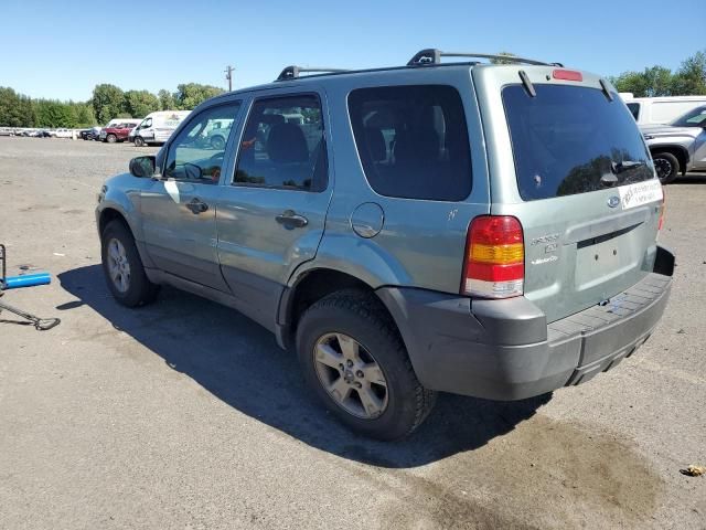 2006 Ford Escape XLT