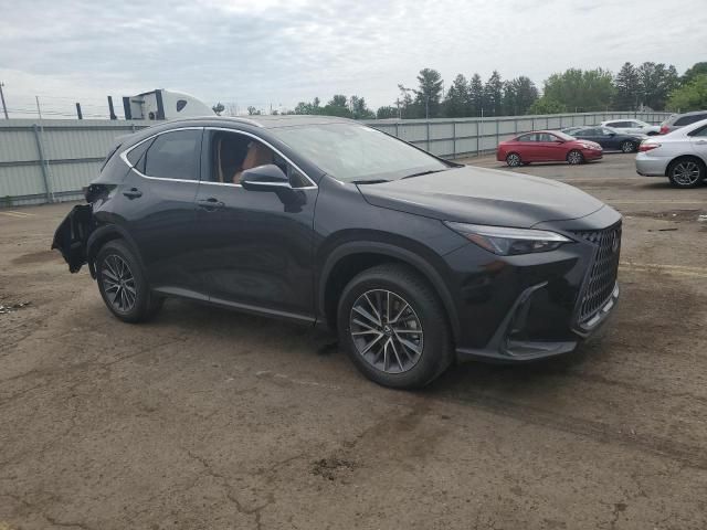 2025 Lexus NX 350 Base