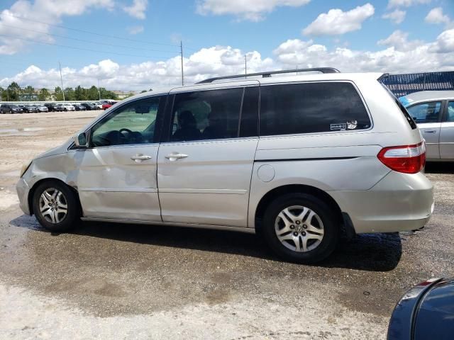 2005 Honda Odyssey EXL