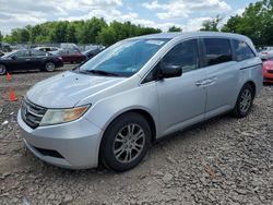 Salvage cars for sale at Chalfont, PA auction: 2013 Honda Odyssey EXL