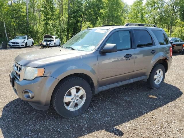 2010 Ford Escape XLT