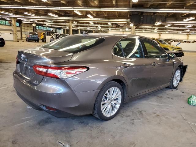 2019 Toyota Camry Hybrid