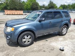 Salvage cars for sale at Madisonville, TN auction: 2011 Ford Escape XLT