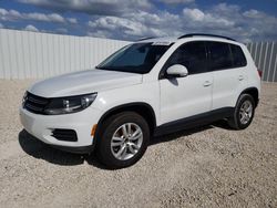 Salvage cars for sale at Arcadia, FL auction: 2016 Volkswagen Tiguan S