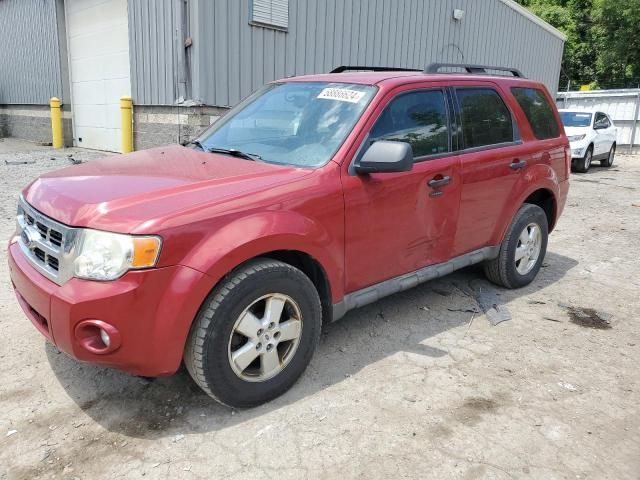 2009 Ford Escape XLT