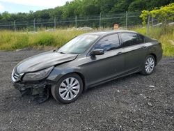 Salvage cars for sale at Finksburg, MD auction: 2013 Honda Accord EXL