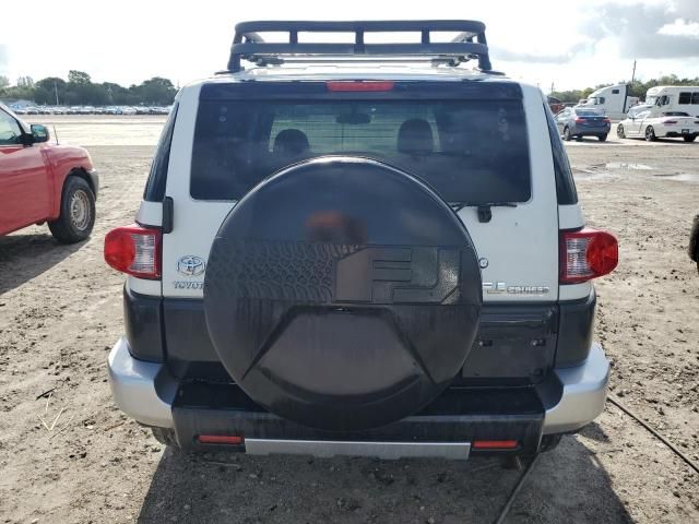 2010 Toyota FJ Cruiser