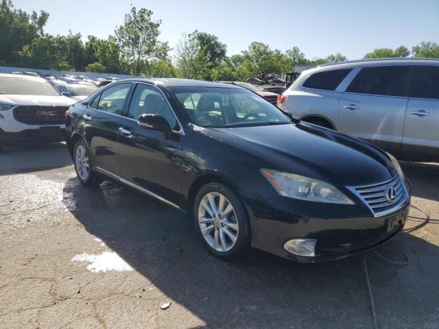 2010 Lexus ES 350