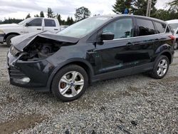 Salvage cars for sale from Copart Graham, WA: 2014 Ford Escape SE