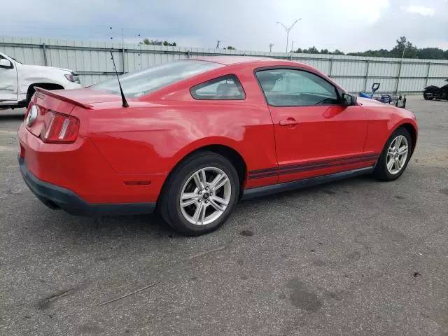 2010 Ford Mustang