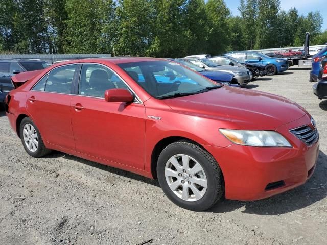 2007 Toyota Camry Hybrid