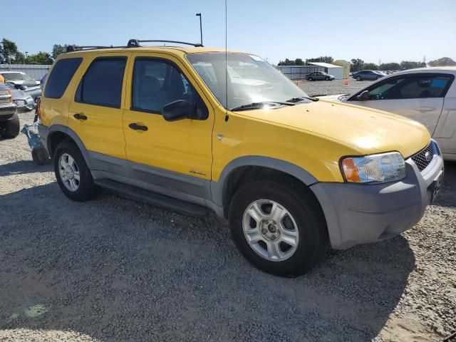 2002 Ford Escape XLT