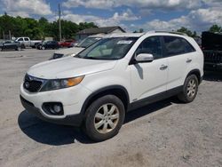 Lots with Bids for sale at auction: 2011 KIA Sorento Base