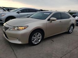 Salvage cars for sale at Grand Prairie, TX auction: 2013 Lexus ES 350