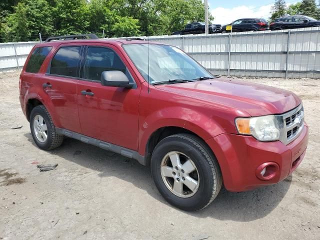 2009 Ford Escape XLT