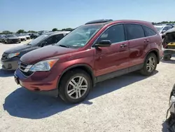 Honda salvage cars for sale: 2010 Honda CR-V EX