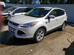 Salvage cars for sale at Bridgeton, MO auction: 2014 Ford Escape SE