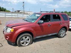 2012 Ford Escape XLT en venta en Hillsborough, NJ