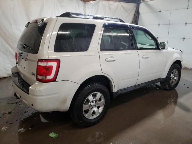 2010 Ford Escape Limited