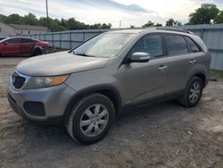 Salvage cars for sale at York Haven, PA auction: 2011 KIA Sorento Base