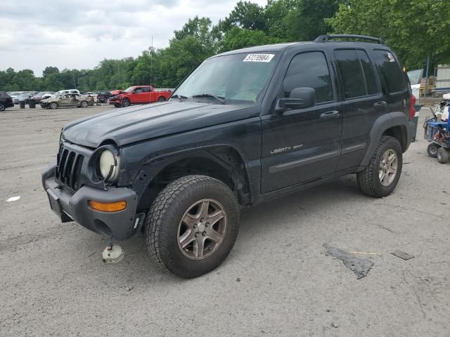 2002 Jeep Liberty Sport