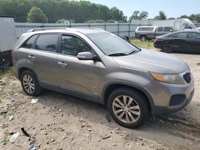 2011 KIA Sorento Base