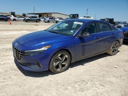 Hyundai Elantra salvage cars for sale: 2023 Hyundai Elantra Limited