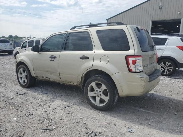 2010 Ford Escape XLT