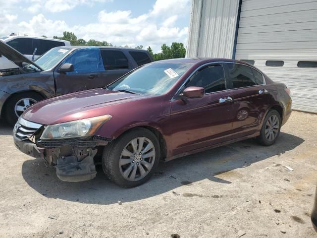 2011 Honda Accord EXL