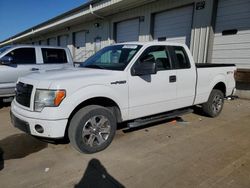 Salvage cars for sale at Louisville, KY auction: 2013 Ford F150 Super Cab