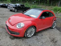 Volkswagen Beetle salvage cars for sale: 2014 Volkswagen Beetle