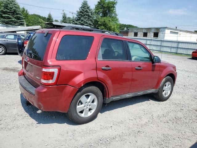 2009 Ford Escape XLT