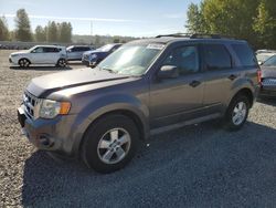 Lots with Bids for sale at auction: 2009 Ford Escape XLS