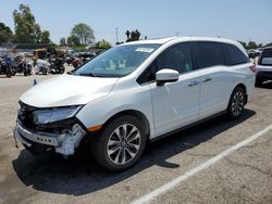 Honda Odyssey exl salvage cars for sale: 2022 Honda Odyssey EXL