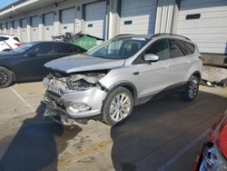 Salvage cars for sale at Louisville, KY auction: 2019 Ford Escape SEL